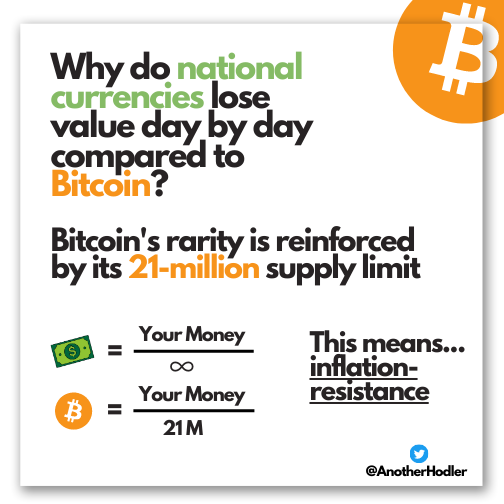 AnotherHodler's tweet photo. Let me broaden your horizon 💡#Bitcoin https://t.co/tFspCRVW0e