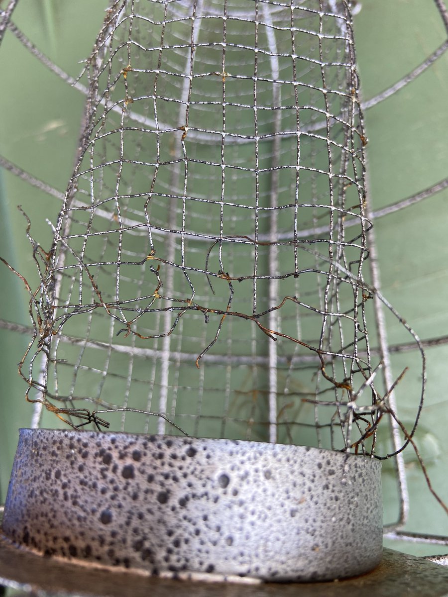 smuff74's tweet photo. Middle Aged Problems #348

The bastard squirrels have demolished our ‘squirrel proof bird feeder’

@GWmag @GWandShows #gardening #gardens #spring https://t.co/pTwZ03NO6t