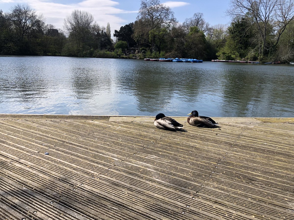 Begin2Sports Group Academy C.I.C tweet media