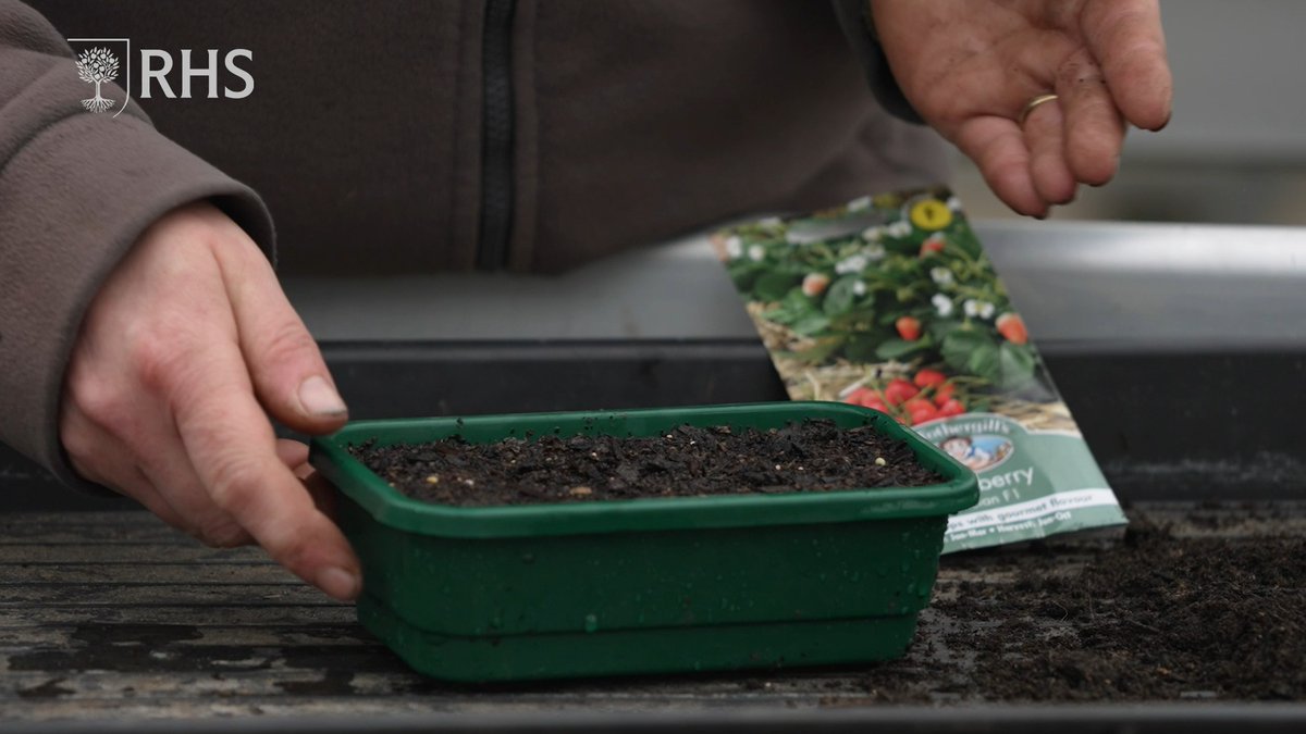 The RHS on Twitter "For the last of our GrowYourOwn videos (for now