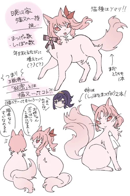 🎀の秘密について考えていました
猫バナーってそういうね、、、 