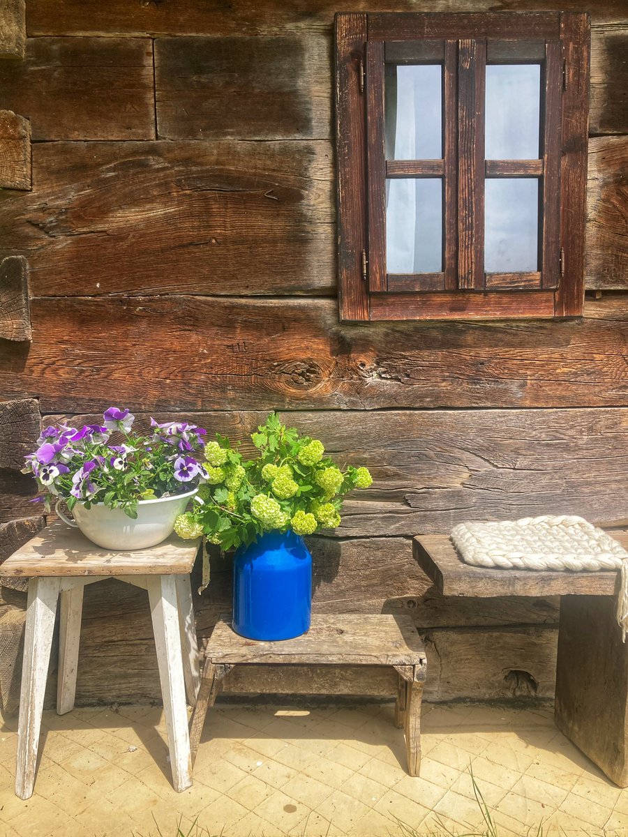 nadkaku's tweet photo. Že na bolšjaku včeraj sem videla kje bosta stali posodi in kako lepo bo, 🌺🌸💚 https://t.co/RLzSlrTKUt