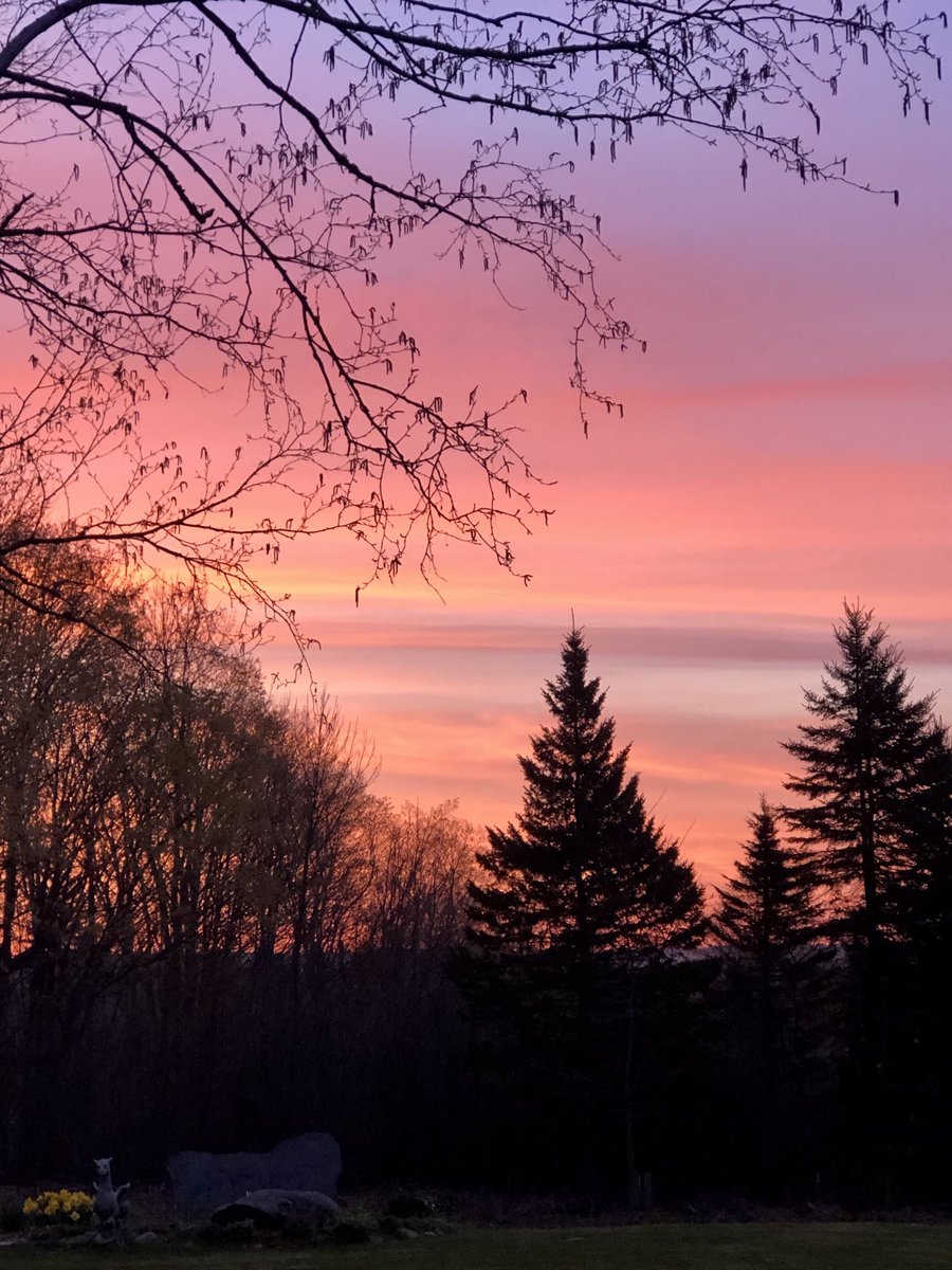 OaknThyme's tweet image. Having a pup makes sure I catch the sunrise. Just another bonus 🐾☕️☕️🐾 #lifewithadog