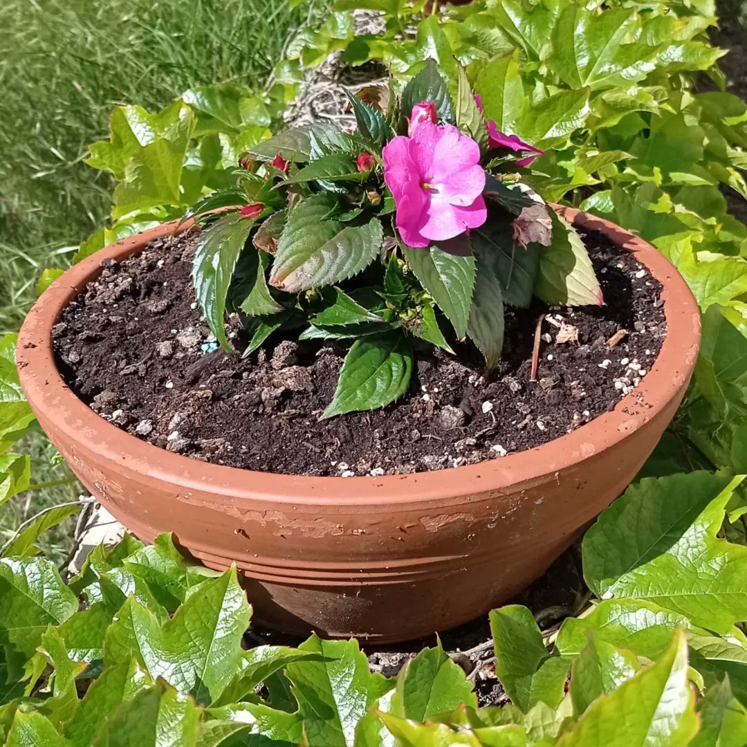 Fernando Ezquerra Lapetra tweet media