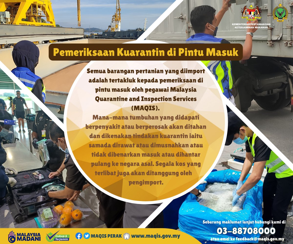 MaqisPerak's tweet photo. Pemeriksaan kuarantin di 57 pintu masuk negara oleh MAQIS adalah bagi memastikan produk pertanian import bebas daripada perosak dan ancaman penyakit.

#MAQISMalaysia
#maqisperak
#cukupdanterjamin https://t.co/JXgJhO0ewB