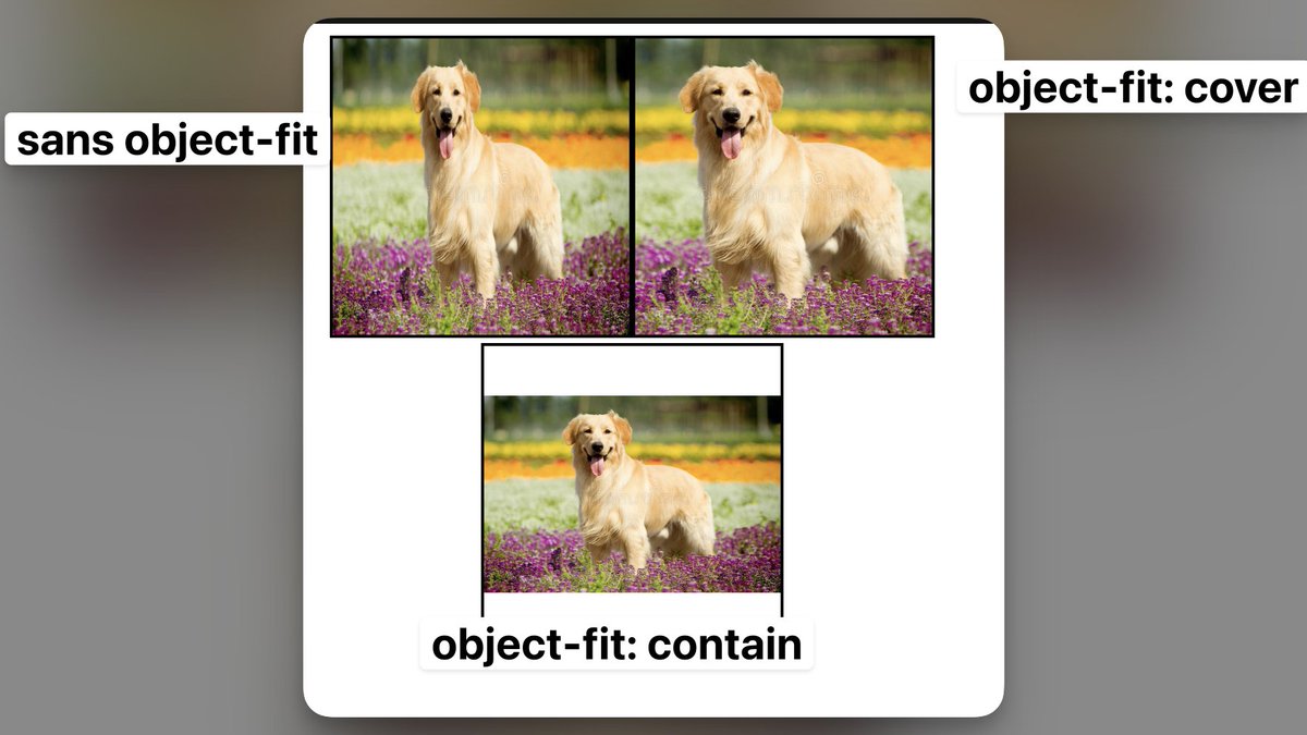 melvynx's tweet photo. 💡 Astuce du samedi : utilisez l'attribut `object-fit` pour faire en sortes que vos images fit la taille de l'écran :

(genre tout le temps, trop de site sont bugé à cause de ça 😂) https://t.co/HCPkGHoZXF