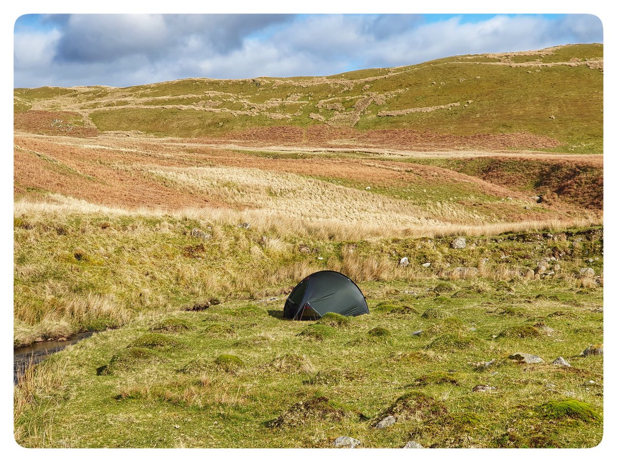 A perfect pitch last night high in a remote valley in deepest Powys. The babbling stream sent me to sleep before it got dark, not waking until daybreak. It's the first time in many months that I've had to exit the tent in the morning because it's too hot.