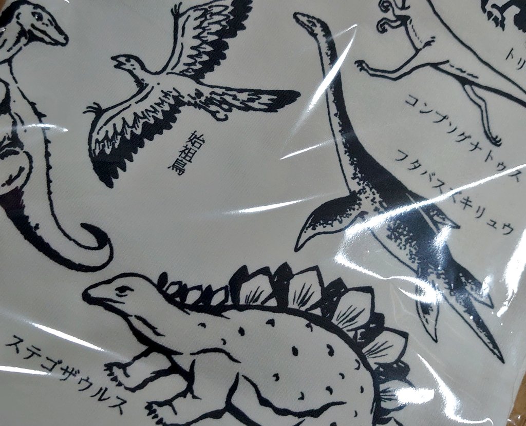 これは今日届いた恐竜Tシャツ(開封する気力がない…けどめちゃめちゃかわいくて眺めてニコニコしてる) 