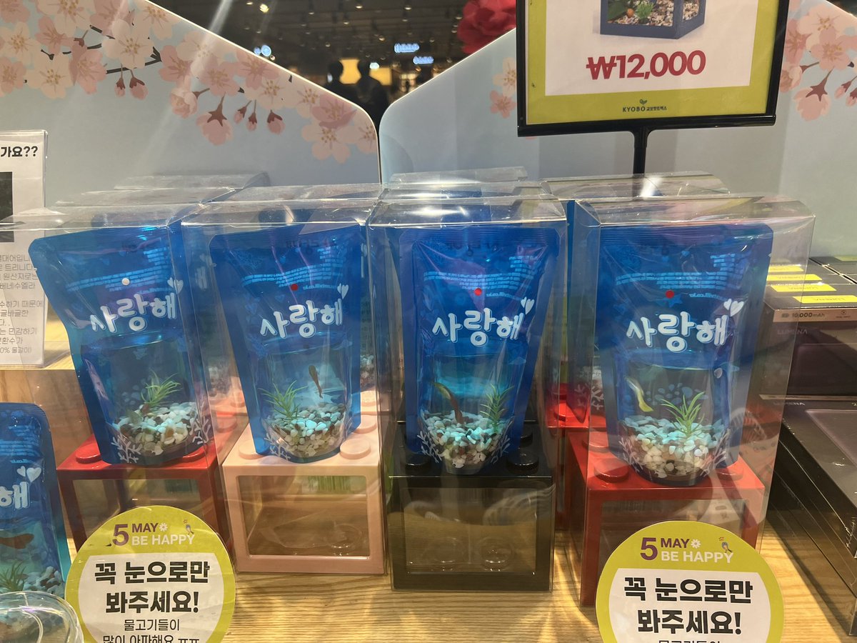 교보문고 이게 무슨 짓이야… 물고기 풀어줘…