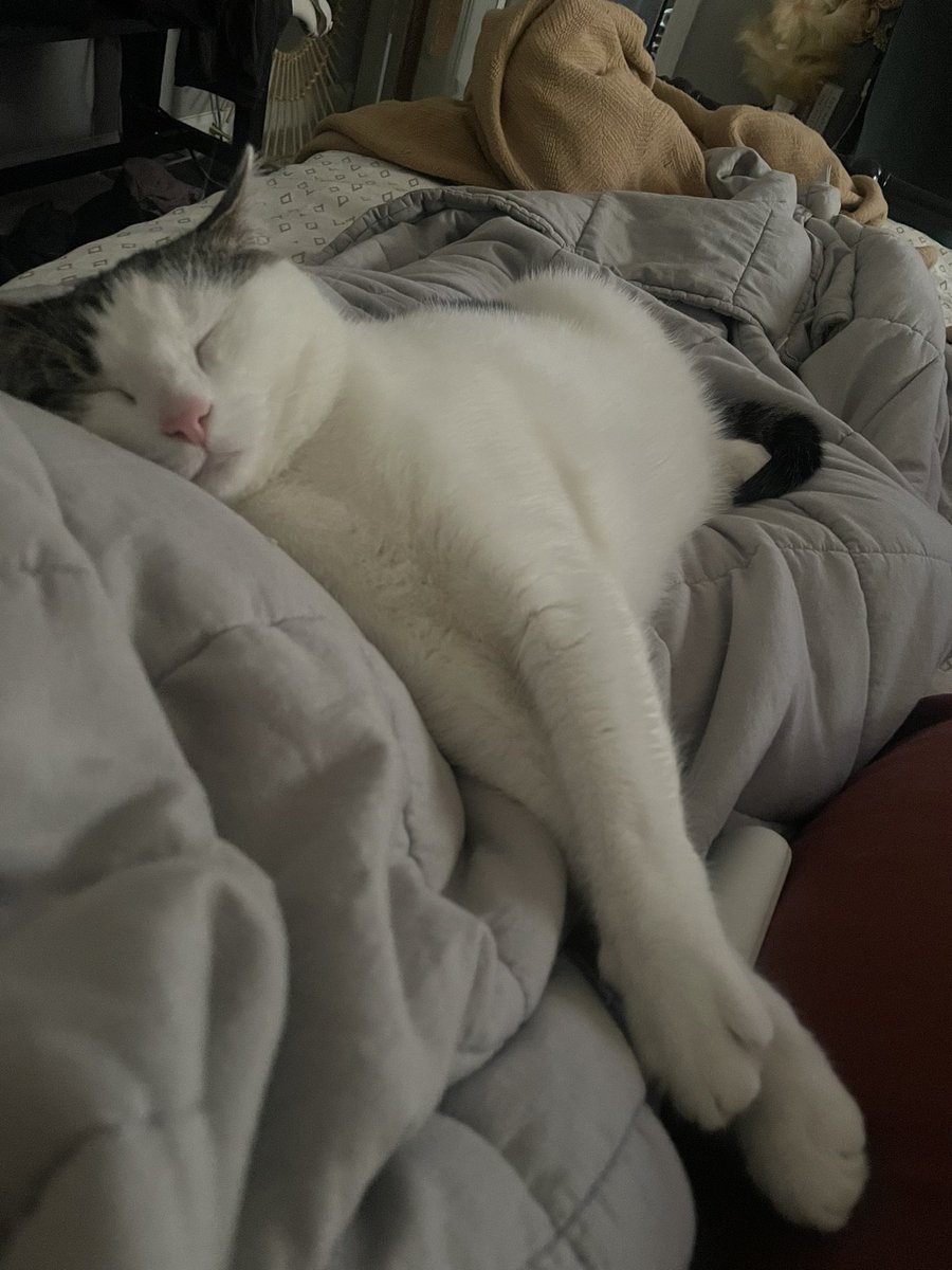 mrsariley_'s tweet photo. my only friend (even though we fist fight once a week) https://t.co/Q1UUiT9rHr