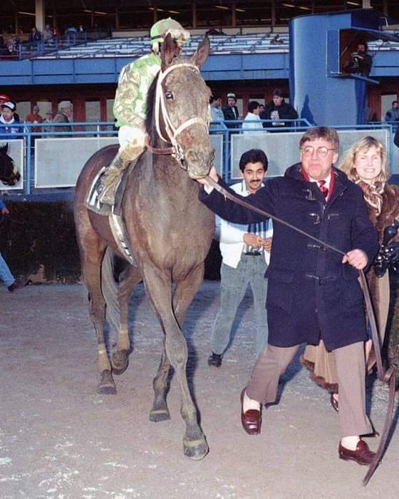 HORSERACING1002's tweet photo. DYNAFORMER (ROBERTO) #Dynaformer stakes winner . Sired 131 sw. Stood at Wafare farm and @ThreeChimneys1 https://t.co/95UkqNgE39