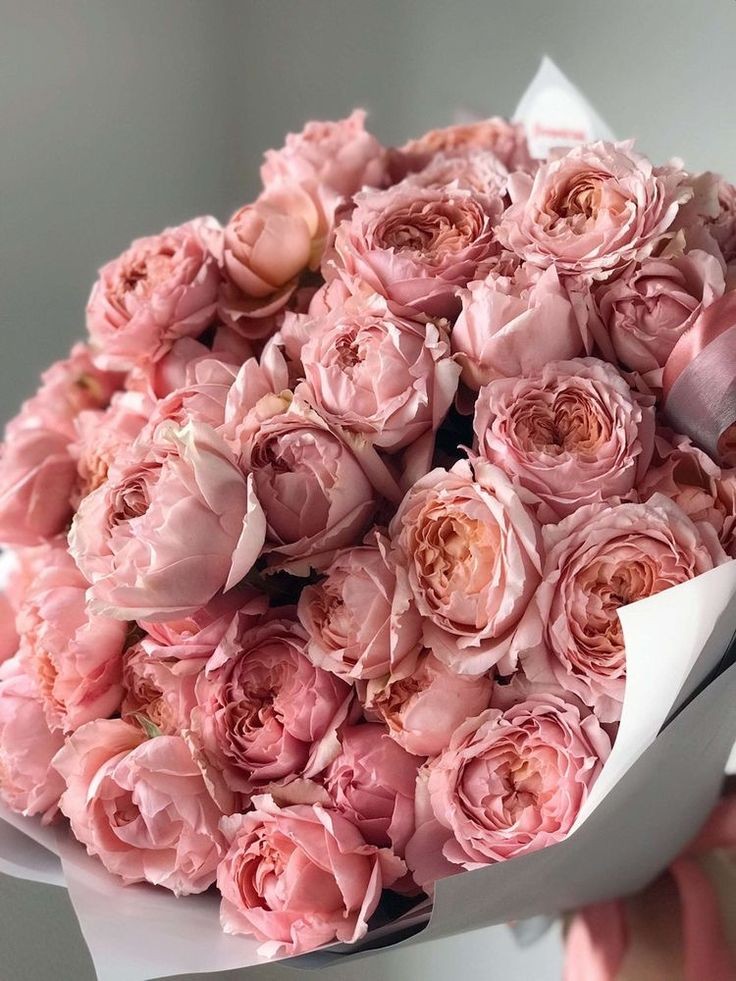 peonias💘