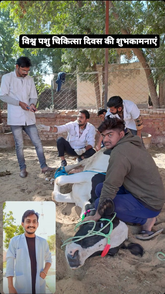 #worldveterinaryday2023