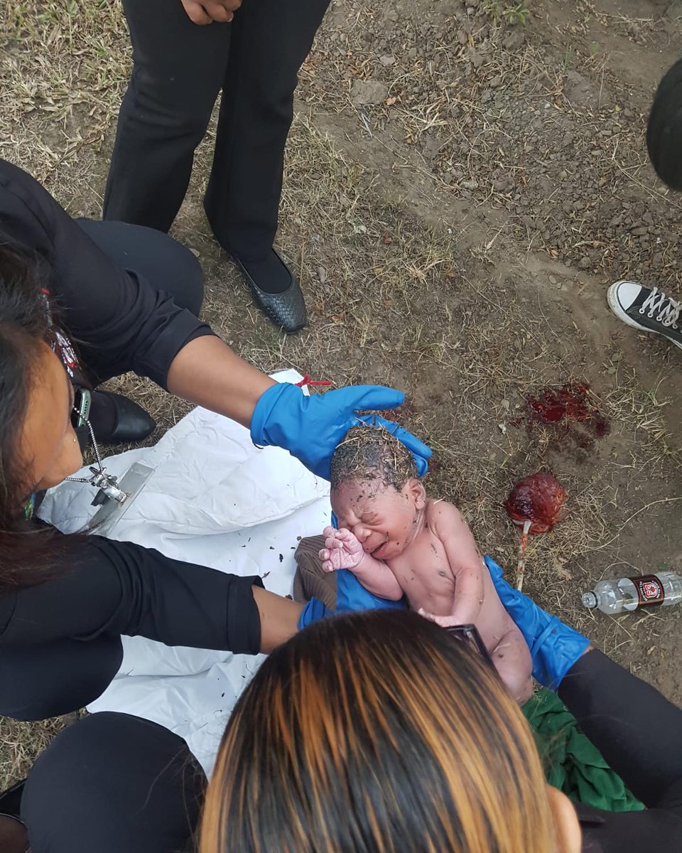 Arrive Alive tweet media