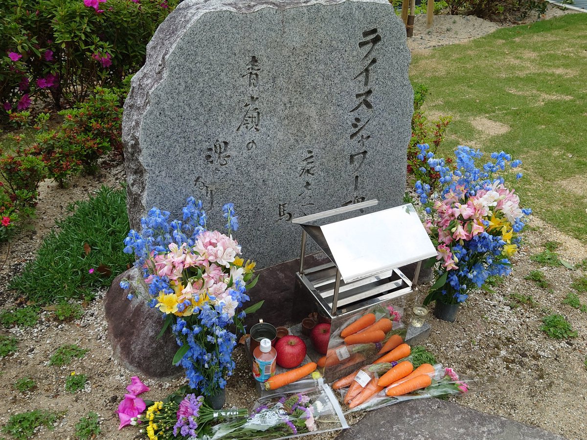 miyahann's tweet photo. 競馬場面白いな…
ライスシャワーの墓碑もありました。
ターフの芝の匂い…だーいーすーきー
キタサンブラックの恵体っぷりもすごい。
#dsp1 https://t.co/tt70FAoW6Z