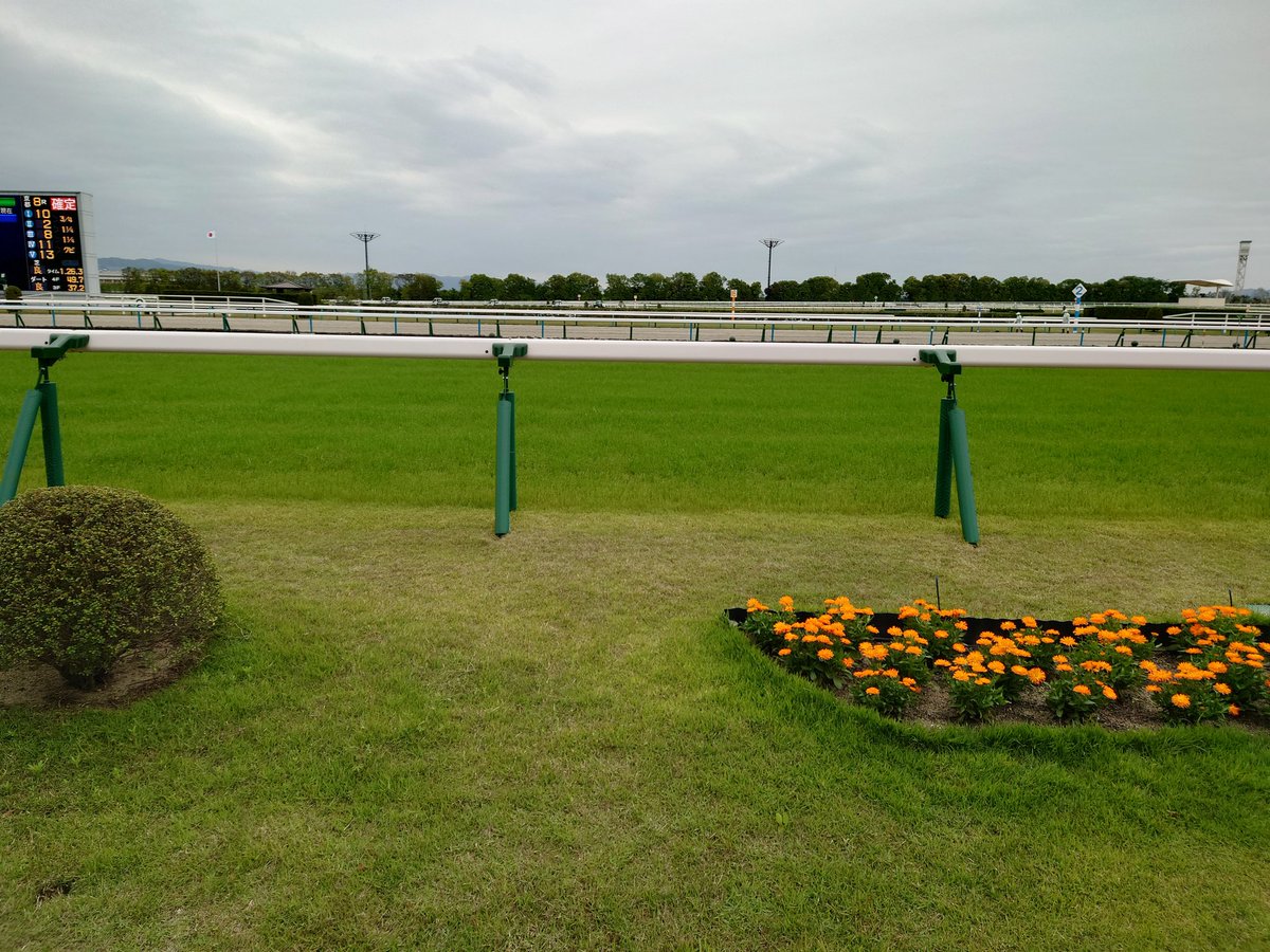 miyahann's tweet photo. 競馬場面白いな…
ライスシャワーの墓碑もありました。
ターフの芝の匂い…だーいーすーきー
キタサンブラックの恵体っぷりもすごい。
#dsp1 https://t.co/tt70FAoW6Z