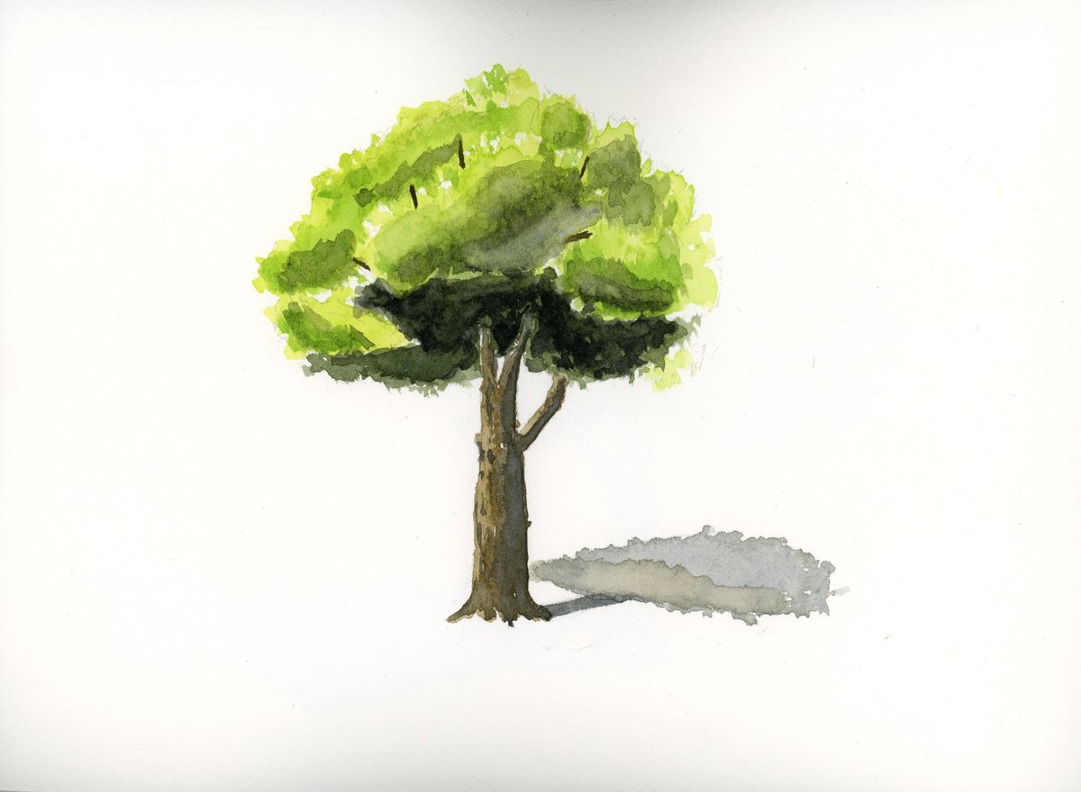 PhiloArt2020's tweet photo. trees https://t.co/PRY1vs0R7j