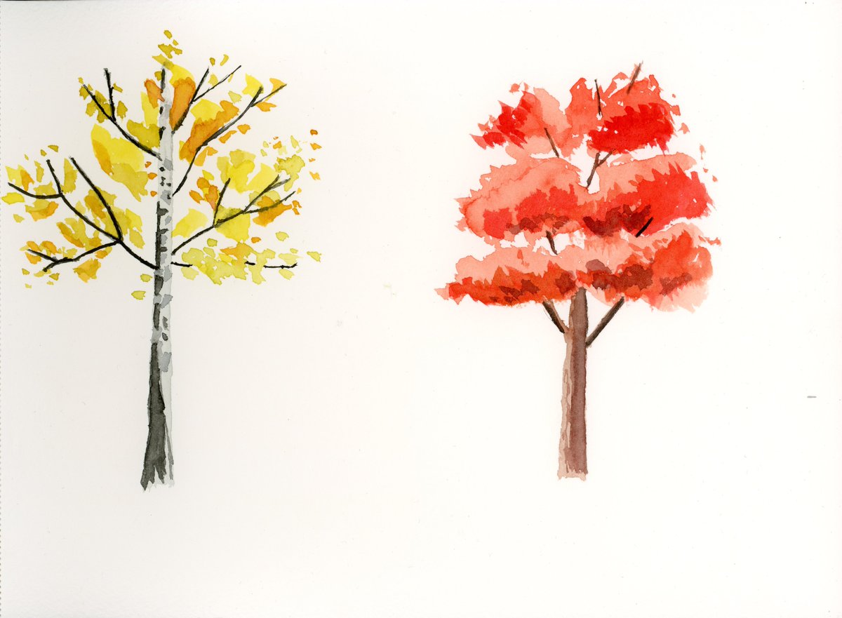 PhiloArt2020's tweet photo. trees https://t.co/PRY1vs0R7j