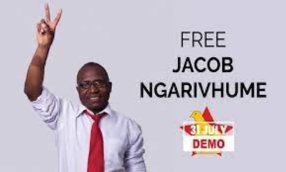 molokele's tweet photo. Patriotism is now a Crime in Zimbabwe 🇿🇼 

Section 59 is very clear on the Right to Protest

@NgarivhumeJacob is now in jail for exercising his constitutional right

Together with @JobSikhala1 he is now one of the many political prisoners in Zimbabwe 

#ZanuPfMustGo 
#Zimbabwe https://t.co/8FjvONqvRJ