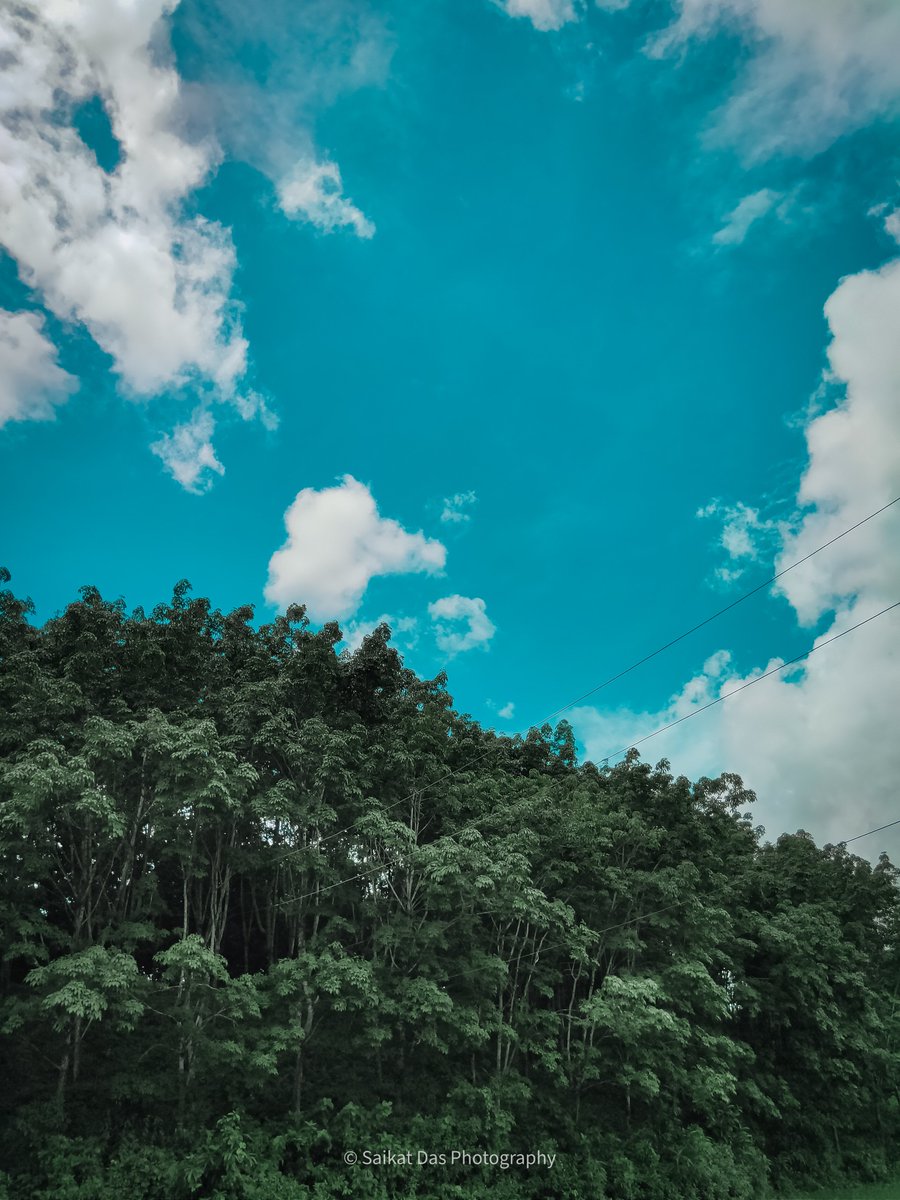 SaikatDasPhoto1's tweet photo. Nature Photography, 
Tripura 🚩
#NaturePhotography #tripura #photography #lightroom #SkyeBlue #green #NFTCommunity #NFTartist #NFT #sdvisualtripura #worldphoto #earth #tripura https://t.co/norss4Iy7q