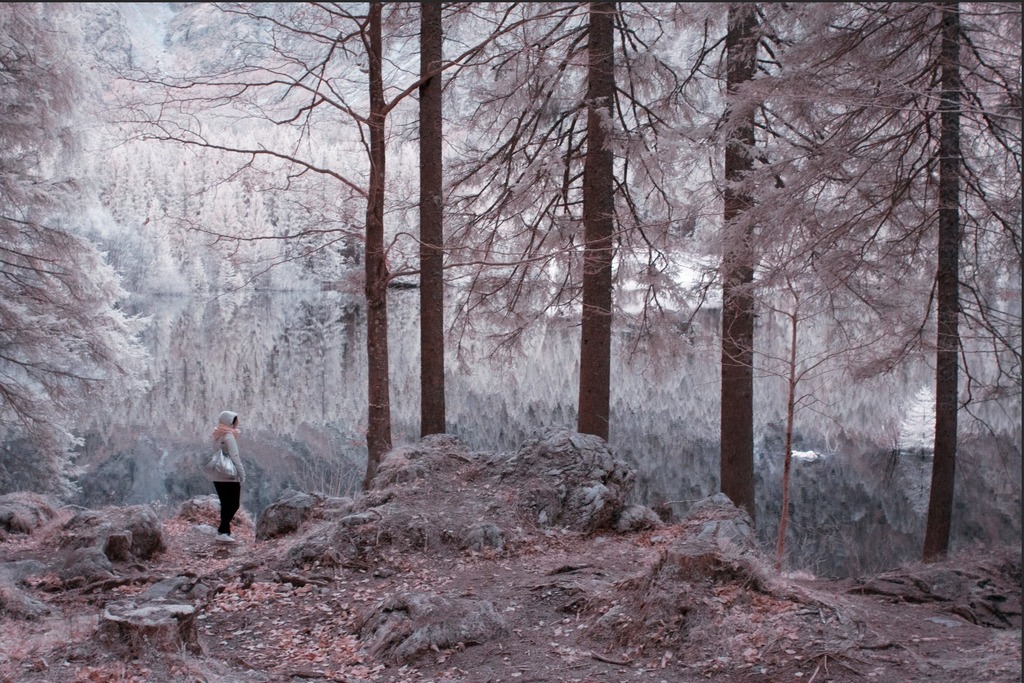 francescochiot's tweet photo. Older infrared work

Alessia - Laghi di Fusine https://t.co/GYug1Sbja0