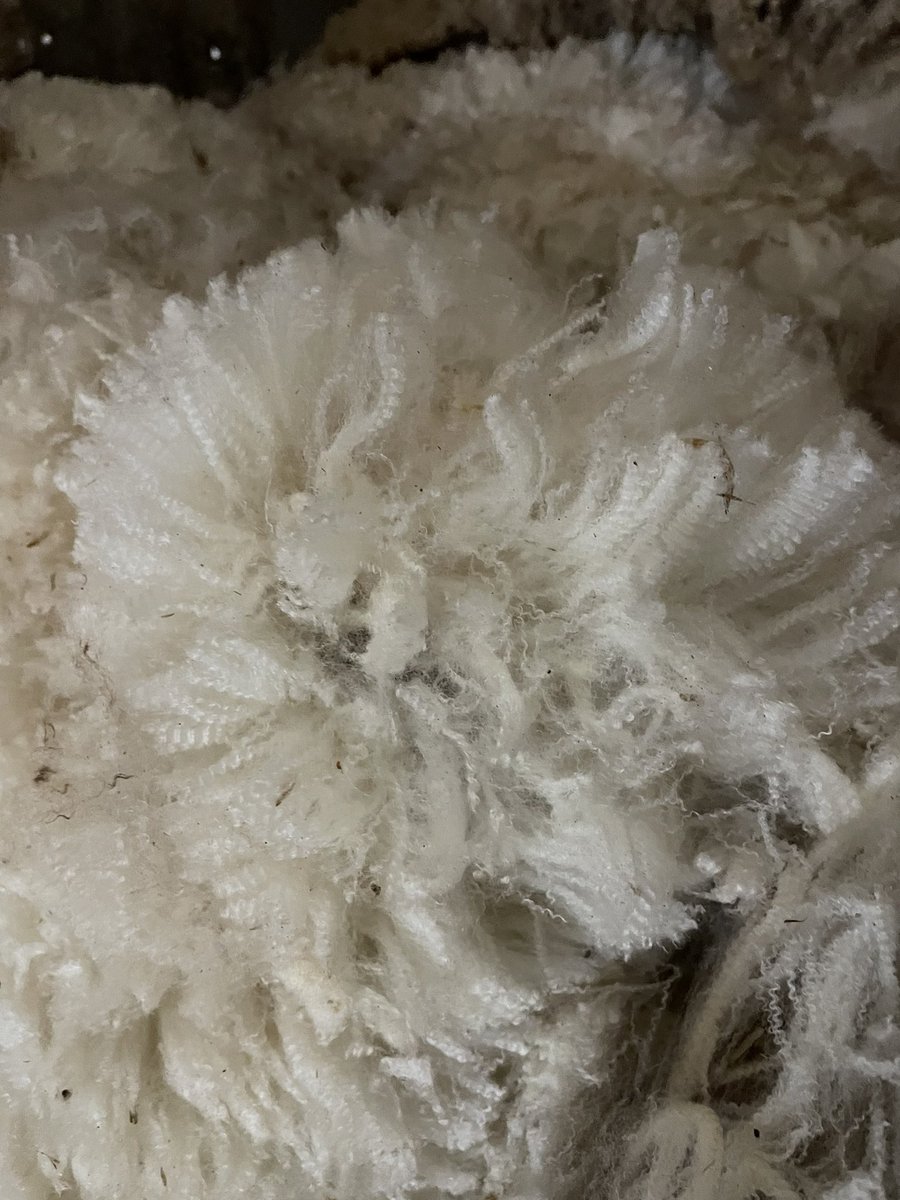 Tom Michael tweet media