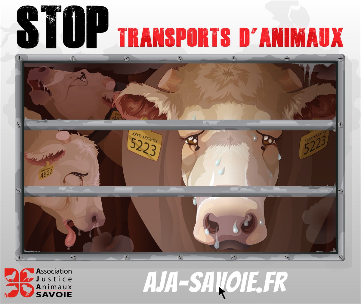 AjaSavoie's tweet photo. Un million de veaux naissent/an en Bourgogne ou dans le Massif central dans le seul but d'être exportés en Italie.
Dans le cadre de la révision de la réglementation UE, nous demandons à @MFesneau la fin des longs transports &amp; des exportations hors UE
🖋️https://t.co/QyGhL8ILy9 https://t.co/7Pf6XMC1Wa
