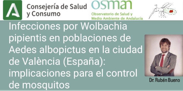rubueno10's tweet photo. 🧐 Mirad lo que tenemos entre manos‼️🔬🦟🦠 
👉🏻 Gracias a @OSMAN_salud por divulgar nuestro trabajo: https://t.co/kbQcNVZoeE
#Wolbachia #MosquitoControl #AedesAlbopictus #VectorManagement #IncompatibleInsectTechnique https://t.co/FkhCeU7tCL