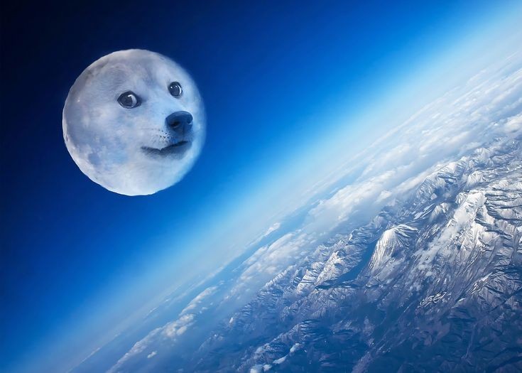 #DogecoinToTheMoon #Dogecoin <a href="/dogecoin/">Dogecoin</a> 🚀🌍