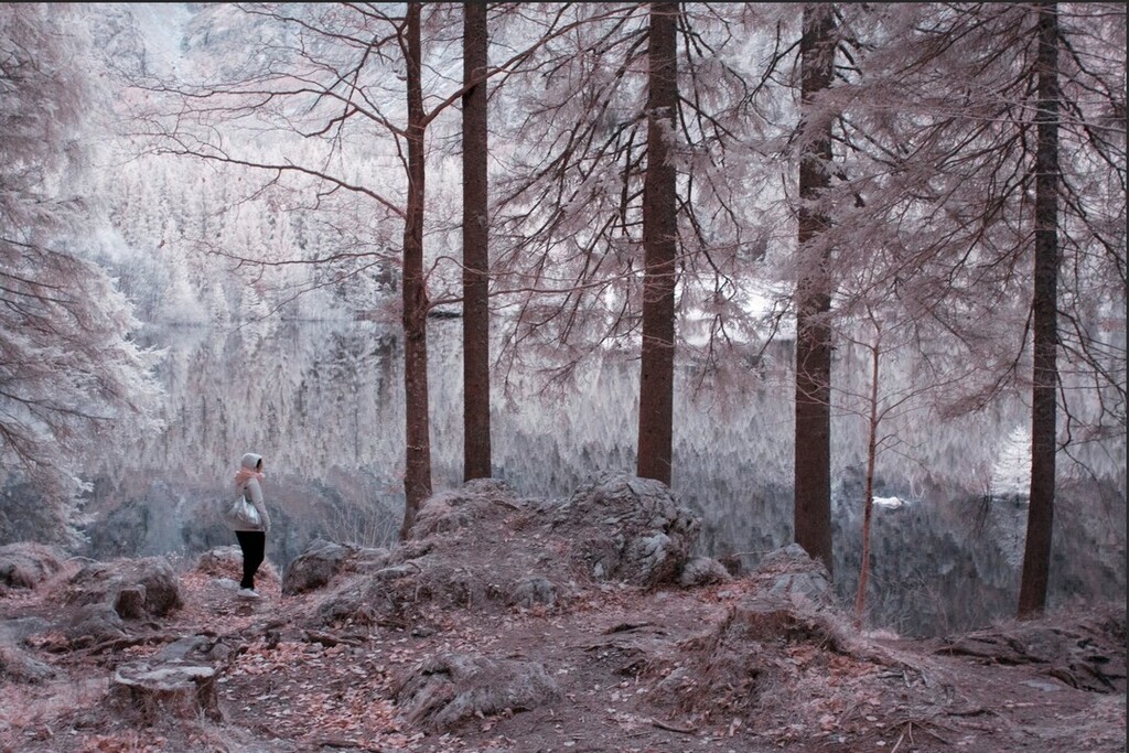 francescochiot's tweet photo. Older infrared work

@lexsis_1 - Laghi di Fusine

#infrared #digital #surreal #escapism #winter #alps #fvglive #montagnefvg #lake #archive #icpalumni #escape #fvg https://t.co/umV8qykQxw https://t.co/FvGF9IVDcC