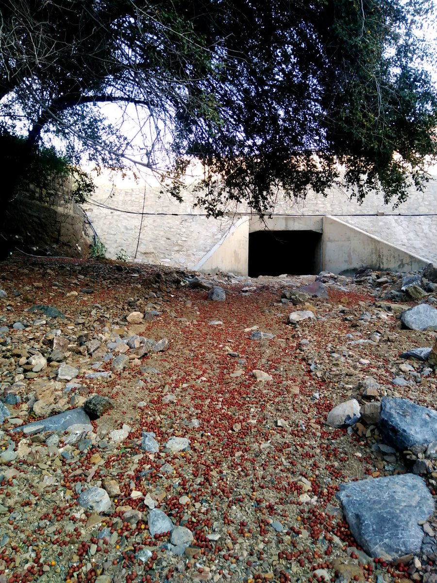 شبكة الريح للطقس tweet media