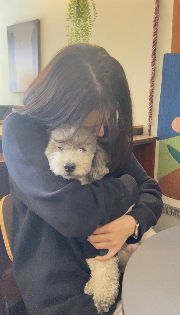 fldzh2022's tweet photo. ダイスキな회기駅のトマン(도망)🐶☕️

りおです！留学生活が終了し1ヶ月経ちました！今回友達の誕生日をお祝いしに戻ってきました✈️🇰🇷

久しぶりにマンチャ🐶にも会えて嬉しかったです！！
優しすぎる社長さんがケーキにロウソクを🍰✨

皆さんもぜひトマンへ行ってみてください！(3回目の紹介笑) https://t.co/kKyzGm5Lze
