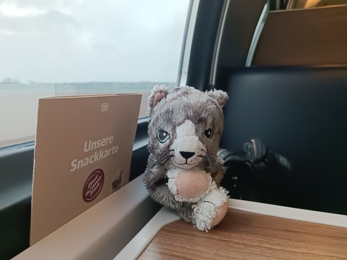 DerMautz's tweet photo. Na? 🐈😺 https://t.co/6QVY5OpXXe