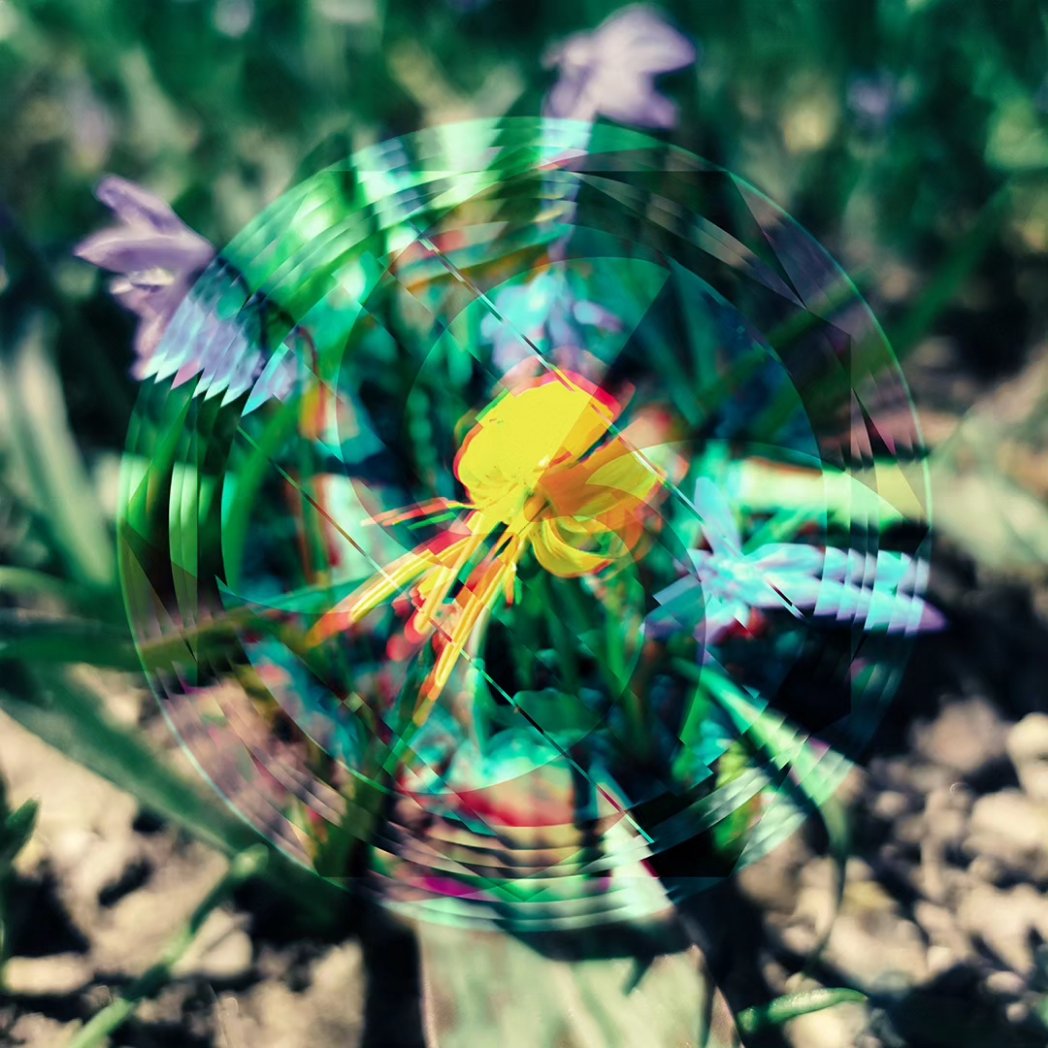 Artwork that I made for my new EP that is out NOW! 

It's called Waking Life 🌱
Check it out on my soundcloud!! 🌀🫶