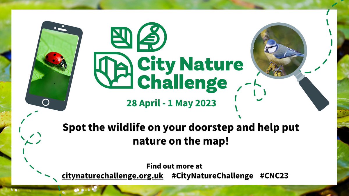 Aristolochia's tweet image. What will day 2 of the #CityNatureChallenge bring? Plants in parks, bees in blossom, Canada geese in canals? Visit citynaturechallenge.org.uk to find out how you can join in and make a difference for wildlife in Greater Manchester #SaveOurWildIsles #WildWeekender #Bloomtown #CNC23