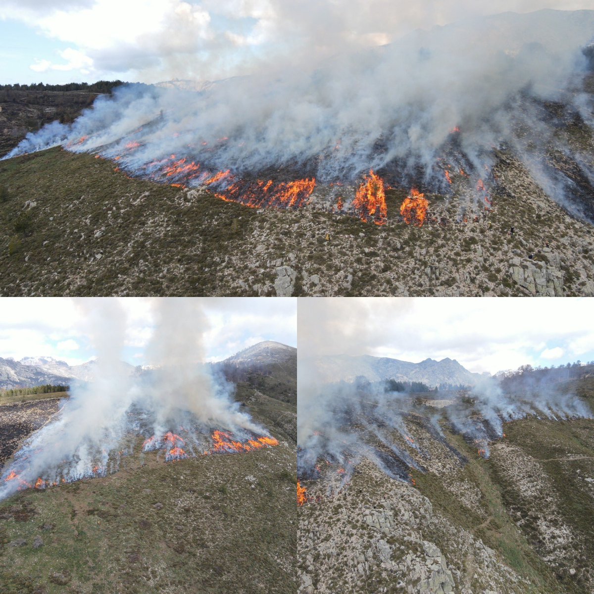 guidini_bruno's tweet image. Dynamique #interservices #brûlage dirigé coupure combustible CCA ALBIA @IsulaCorsica #forsap #sis2a @ONF_Officiel  @UIISC5CORTE #DDT2A.
Chantier #dfci avec intérêt pastoralisme et cynégétique.
4 journées totalisant 50 Ha
@ECristinacce #fdc2a #corse.chambre.agriculture