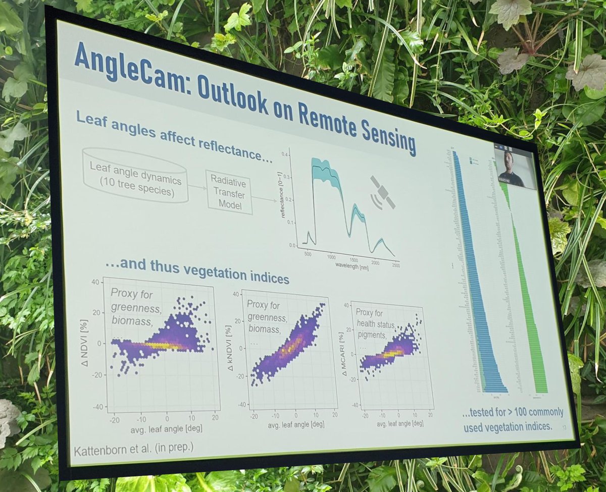 Leaf angles affect reflectance -- thus vegetation indices! 
Teja Kattenborns talks at the #EGU23 about angle cams shows promising results to account for these. doi.org/10.1111/2041-2…