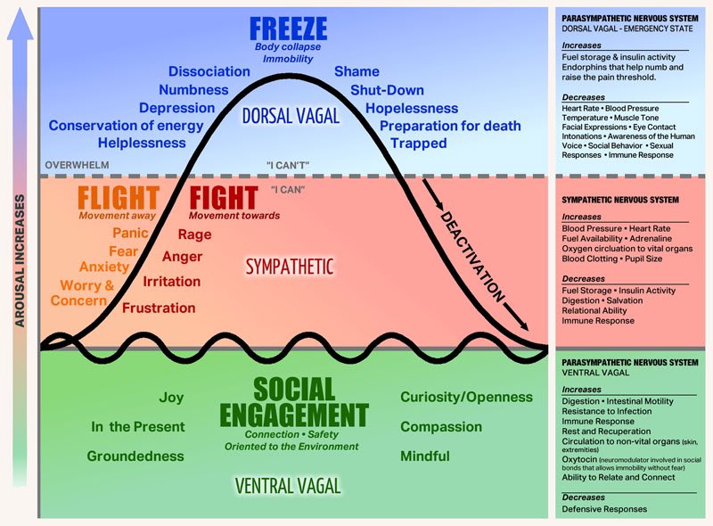 janeparenting2's tweet photo. Adults in the life of any child matter because they can offer a baby or child a safe nervous system to nurture them 

A safe state to plug into and feel safe in the moment 

How amazing is that? 

Takes the focus off ‘saying the ‘right thing’as it’s how you feel that matters. https://t.co/z6HeTrtvwK