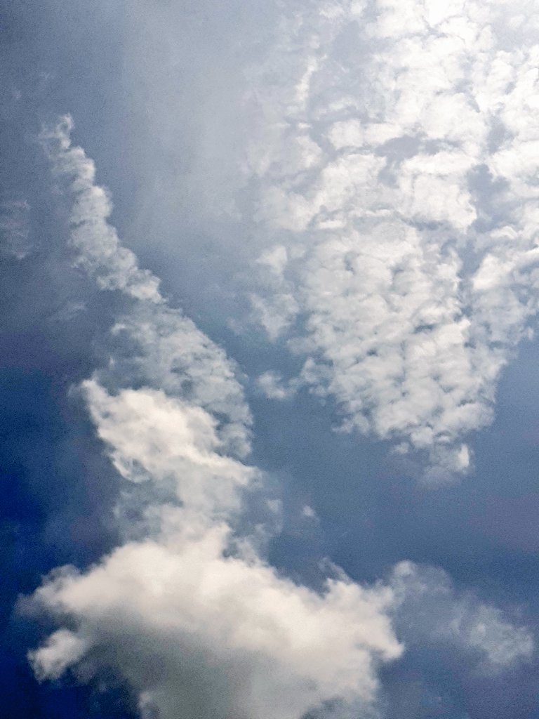 sathsarani17's tweet photo. 🌴🩵⛅ https://t.co/Kck3HDEPYG