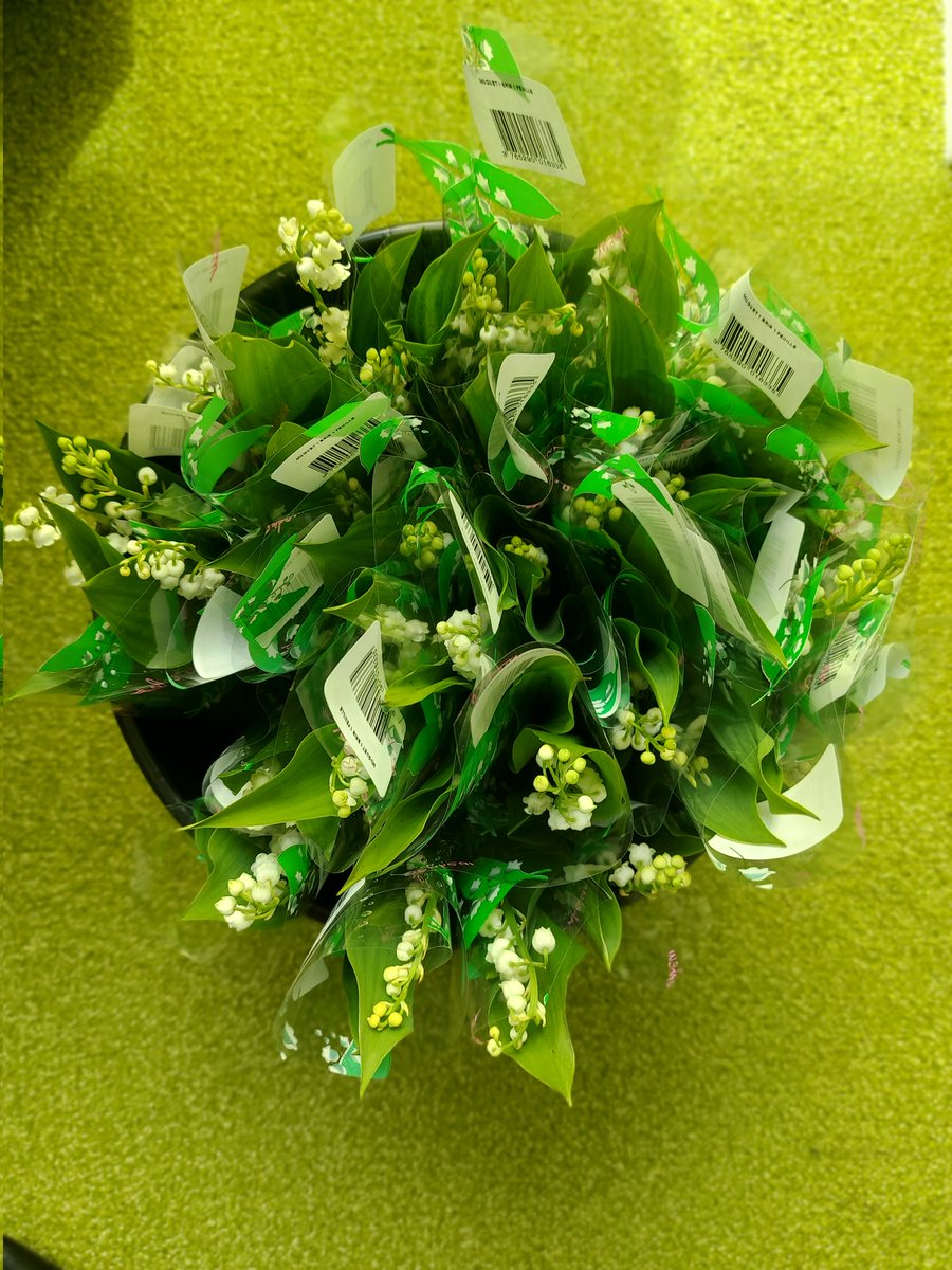 CCM Le Relecq Kerhuon tweet media