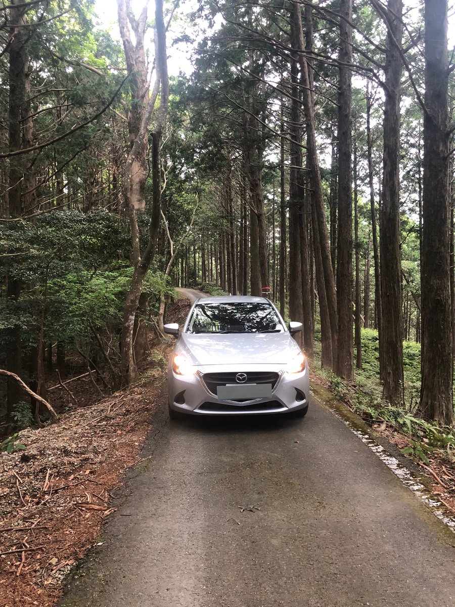 腹いーたー on Twitter 