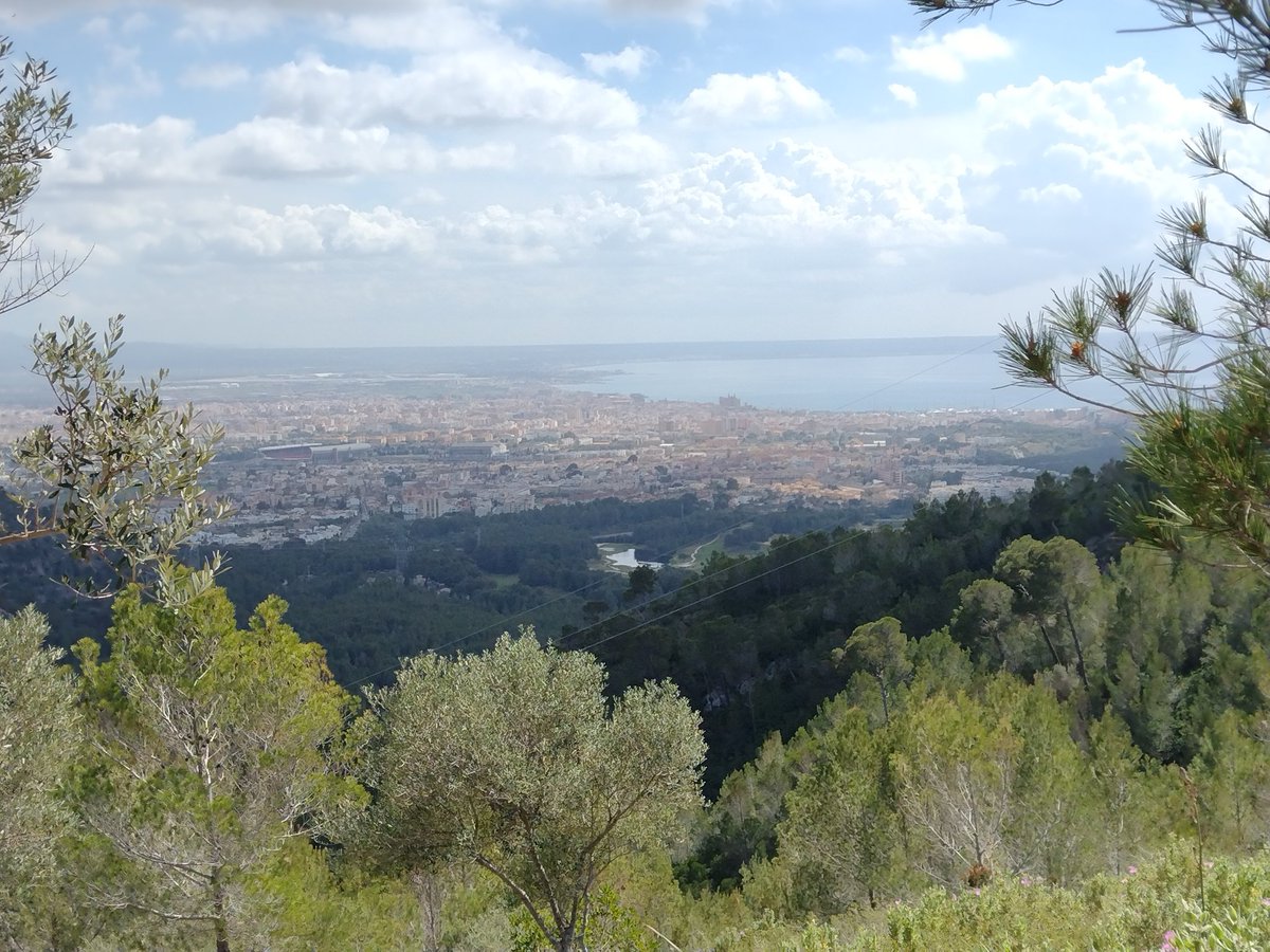 Avui, per començar la secció "L'aperitiu arqueològic" de <a href="/DissabteG/">Associació cultural Cala Bona</a>, xerrarem sobre la ubicació de la ciutat romana de <a href="/romana_palma/">Palma romana</a>

De 10:30 a 11 a <a href="/OnaMediterrania/">Ona Mediterrània</a>, al 88.8 FM