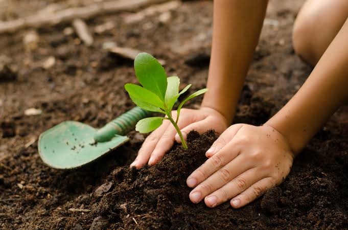 Foodies_DAO's tweet photo. GM Foodies 😋

300+ followers 🎉
We are growing 🌱

From small beginnings, comes great things 🎯 https://t.co/22pPp53AHC