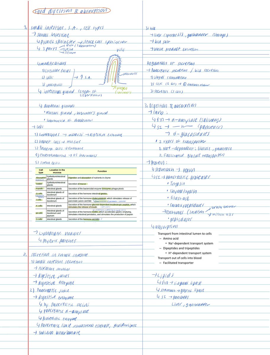 boyabacon's tweet photo. Med school yr 1 vs yr 2 https://t.co/O3m1khs7cr