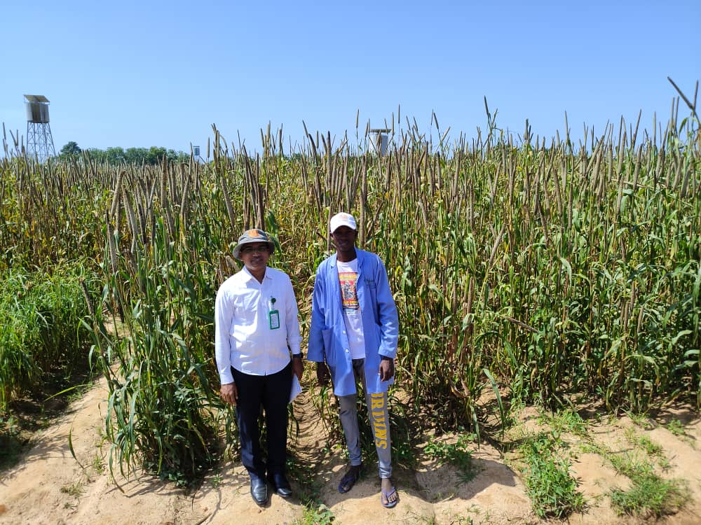 Riyazaddin1's tweet photo. An intern Mr Idrissa Traore who has successfully completed his internship in pearl millet breeding, at ICRISAT, Bamako led by me has got selected for the “France Excellence scholarship program Eiffel from the French government”. @ICRISAT @IcrisatW @hughes_jackie @arvind12211 https://t.co/p6ixZPOr21