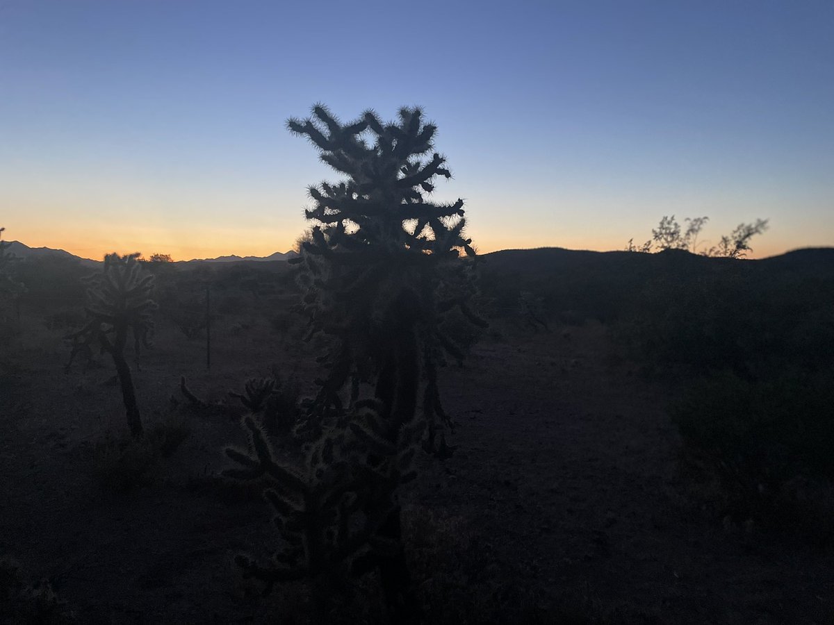 GailGolec's tweet image. Chasing sunsets and moonlight on an starry night in beautiful AZ with my dear friend @paul_s_martin76 

Back to work in the morning.  

#ElectionProtection  #TakeAmericaBack #HandCount #MAGA