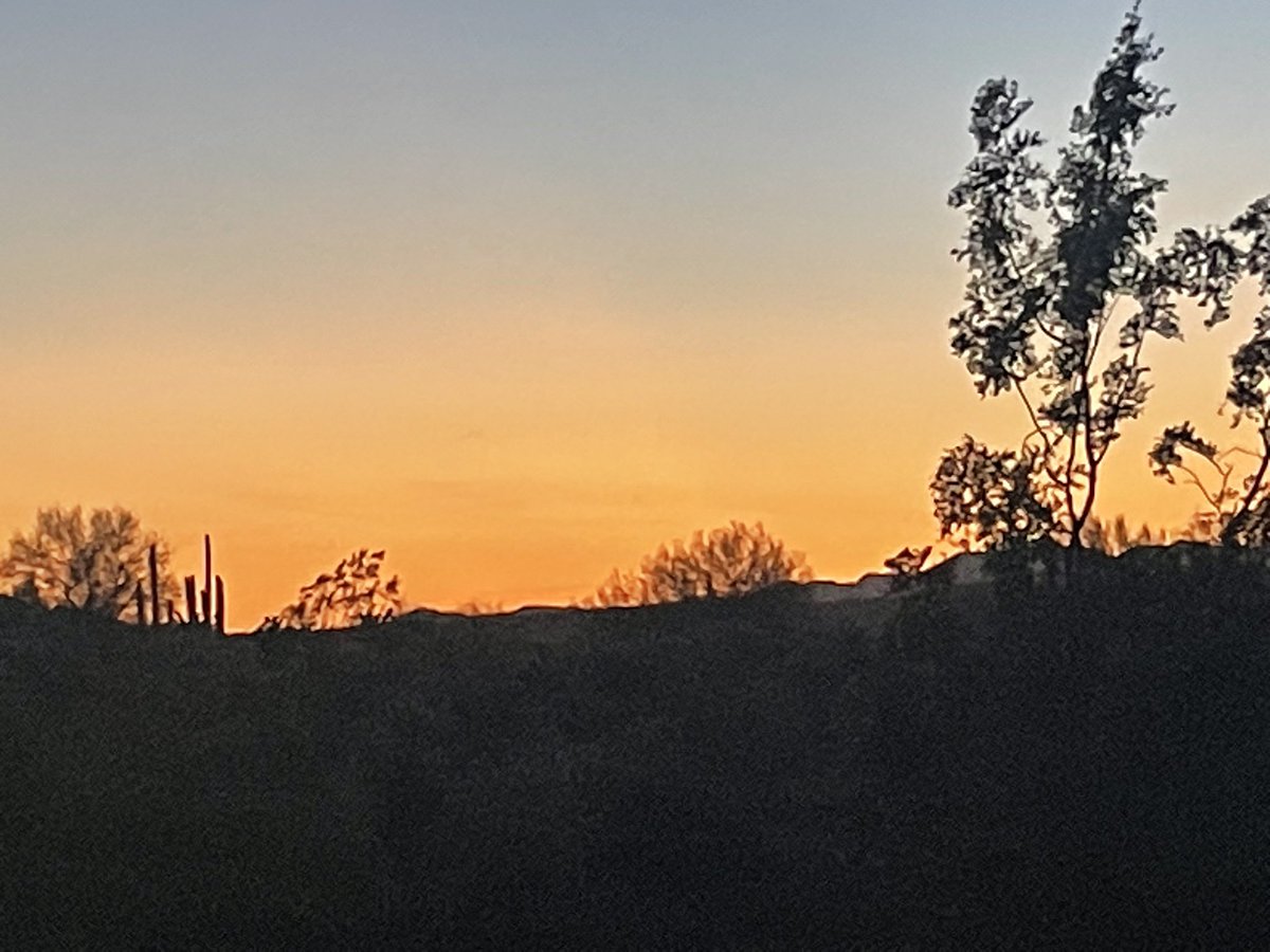 GailGolec's tweet image. Chasing sunsets and moonlight on an starry night in beautiful AZ with my dear friend @paul_s_martin76 

Back to work in the morning.  

#ElectionProtection  #TakeAmericaBack #HandCount #MAGA