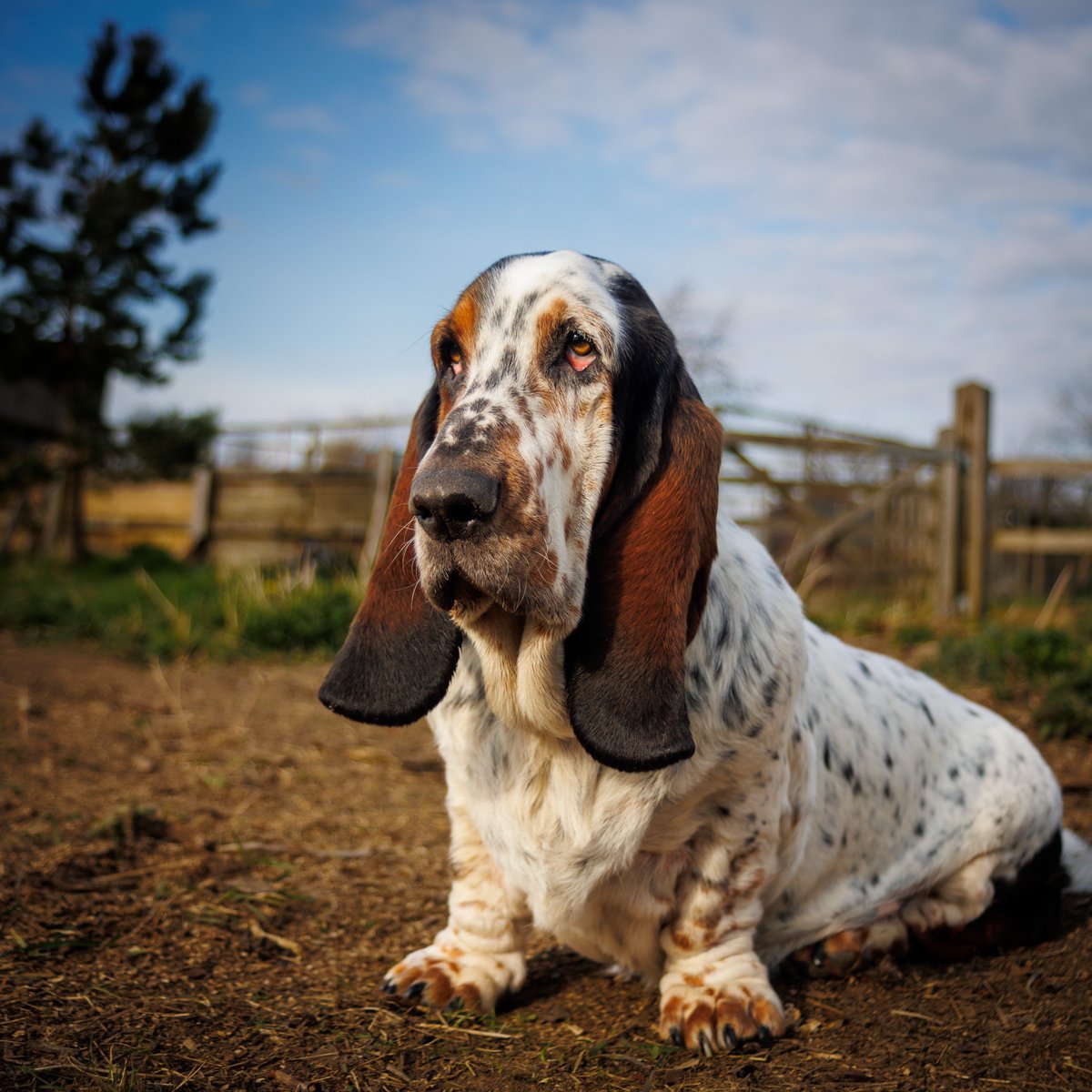 Phil Sledge tweet media