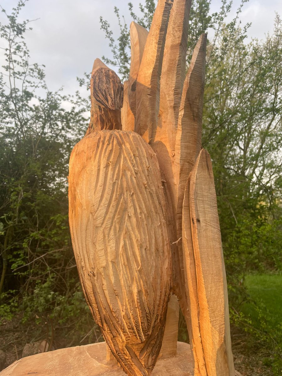 LakesideCic's tweet photo. Completely finished now and glorious in the early morning North Mcr Sunshine ❤️❤️❤️❤️ @parks_great @ParksCommUK https://t.co/345IDvFUPu