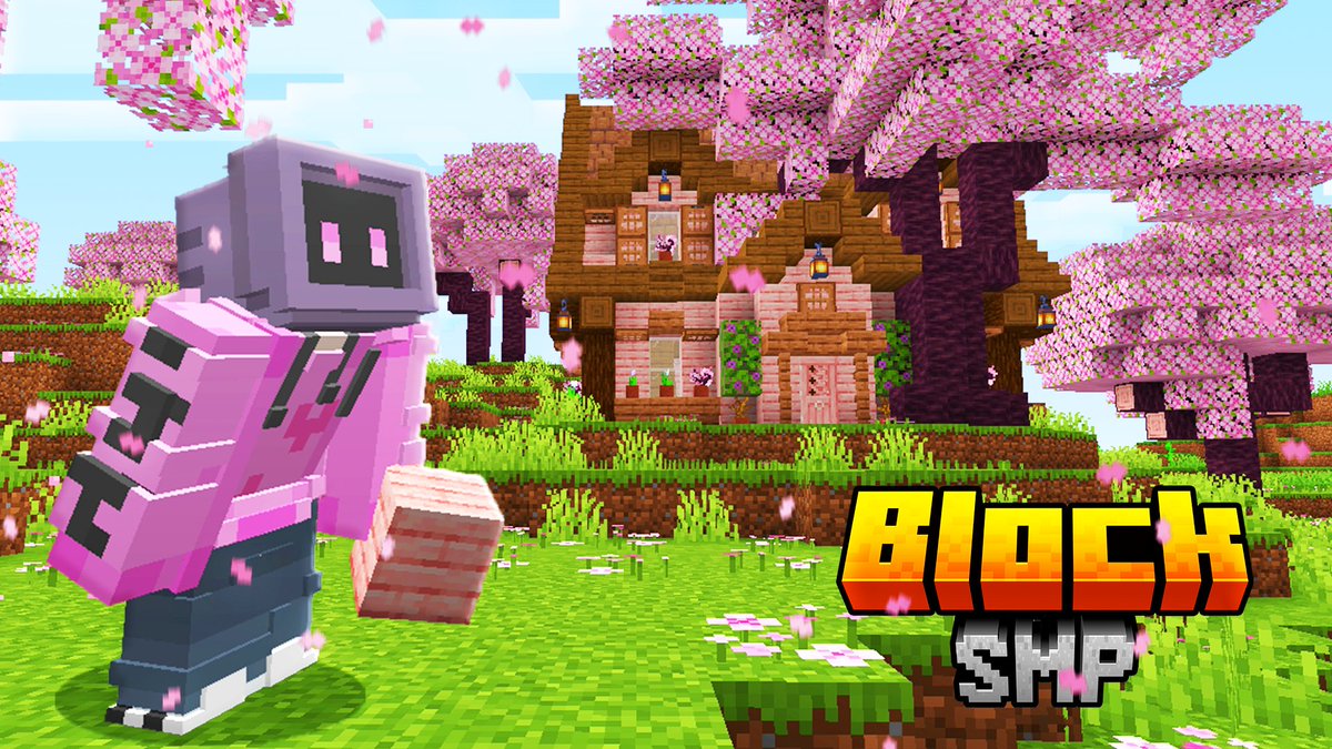 Block Team 👑 tweet media